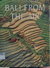 Image of Bali From The Air